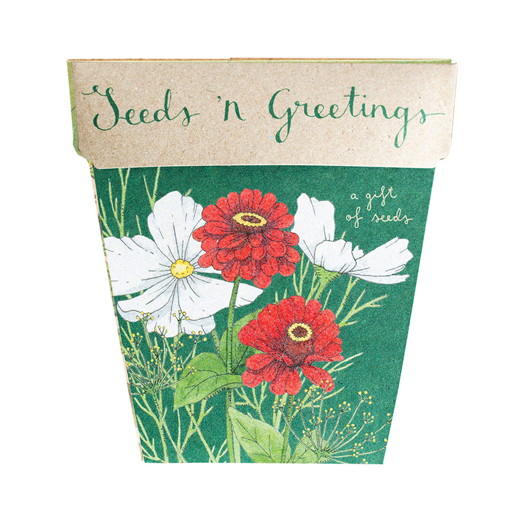 Sow 'n Sow Gift of Seeds Seeds 'n Greetings-The Living Co.