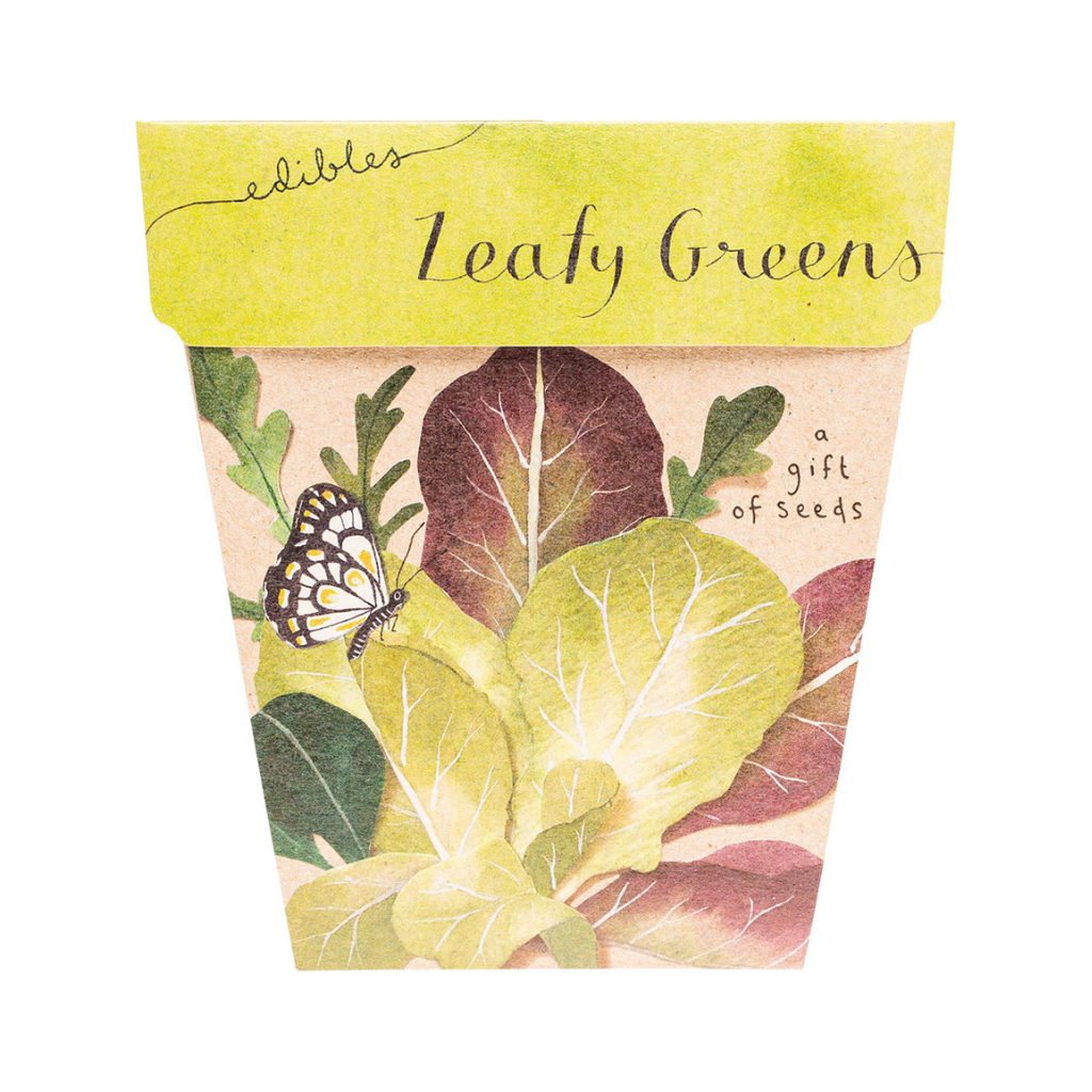 Sow 'n Sow Gift of Seeds Leafy Greens-The Living Co.