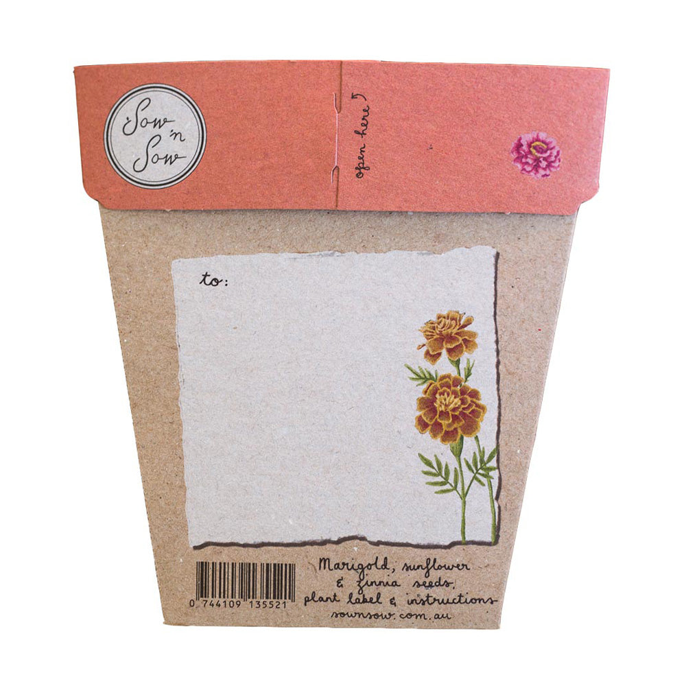 Sow 'n Sow Gift of Seeds Secret Garden-The Living Co.