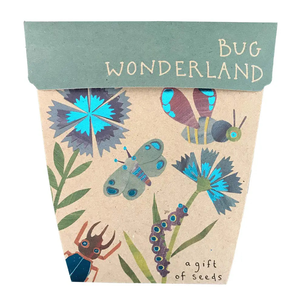 Sow 'n Sow Gift of Seeds Bug Wonderland-The Living Co.