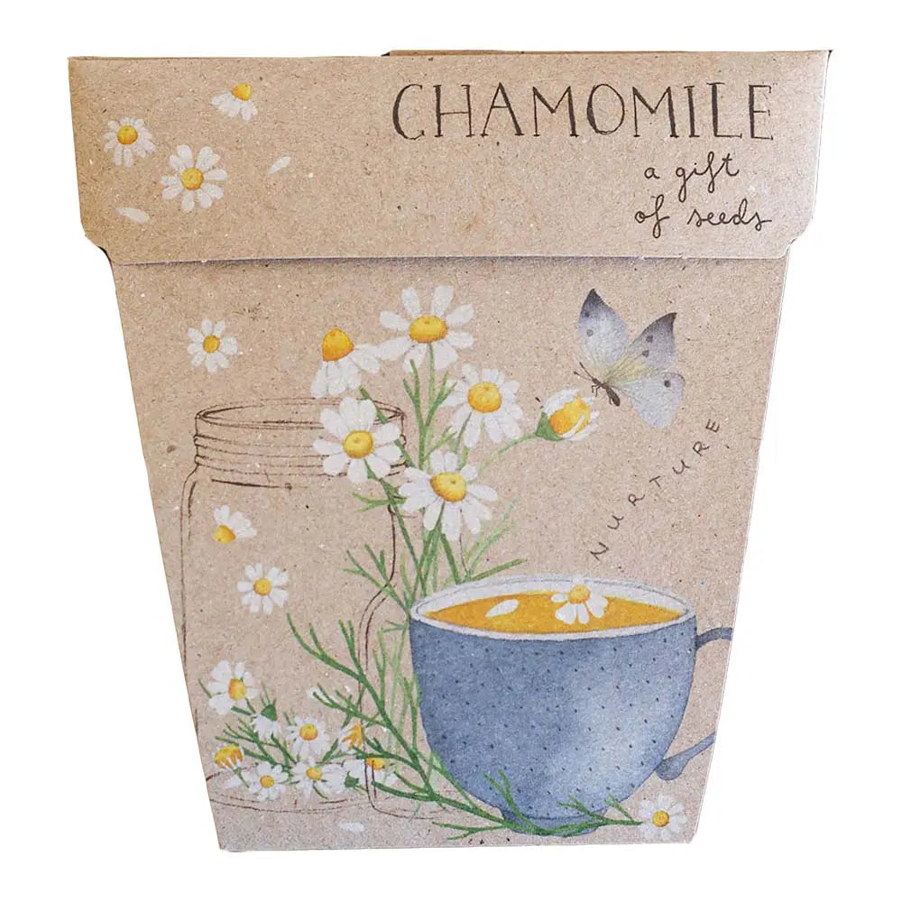 Sow 'n Sow Gift of Seeds Chamomile-The Living Co.