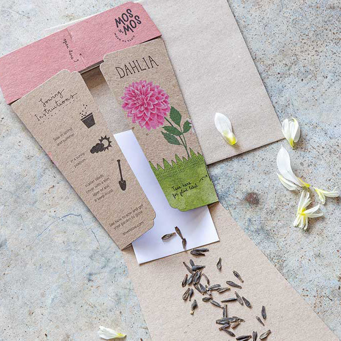 Sow 'n Sow Gift of Seeds Dahilia-The Living Co.