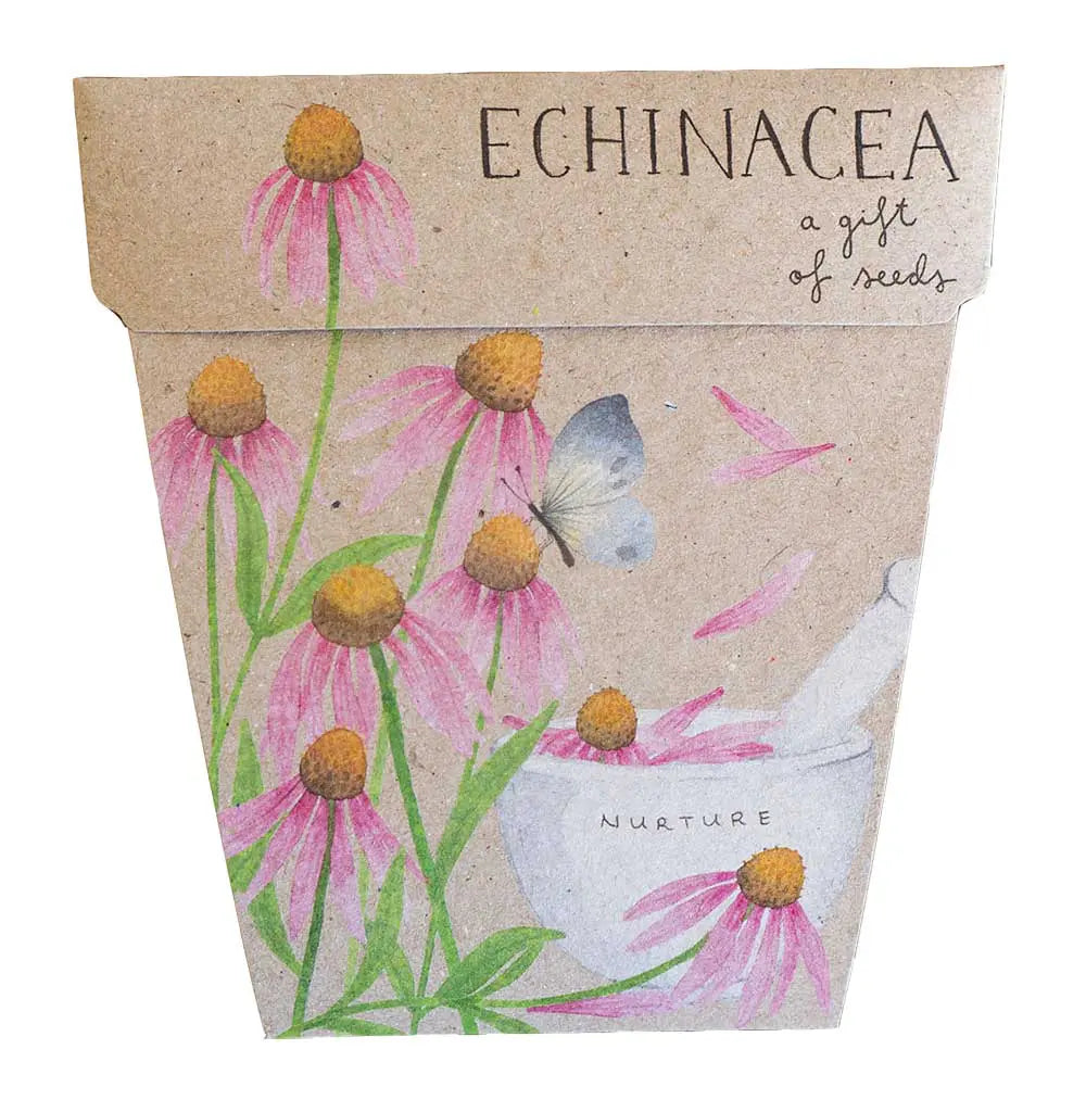 Sow 'n Sow Gift of Seeds Echinacea-The Living Co.