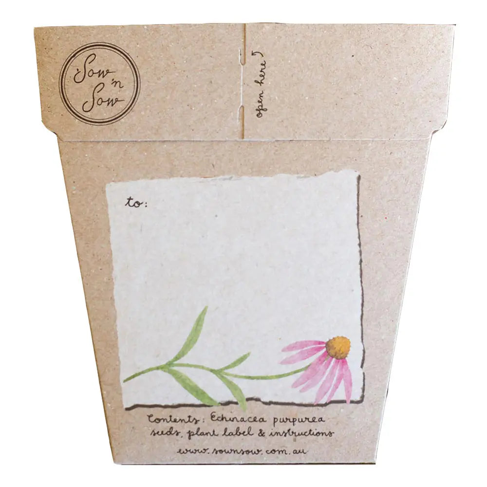 Sow 'n Sow Gift of Seeds Echinacea-The Living Co.