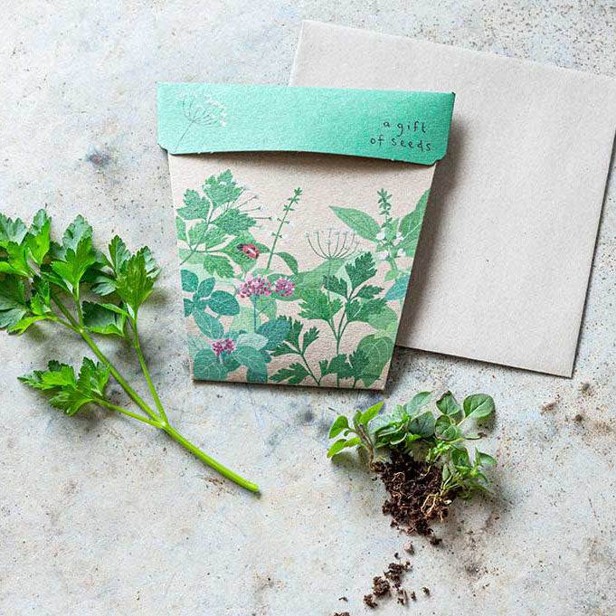 Sow 'n Sow Gift of Seeds Garden Herbs-The Living Co.
