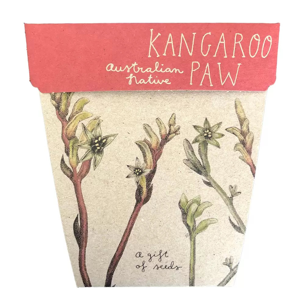 Sow 'n Sow Gift of Seeds Kangaroo Paw-The Living Co.