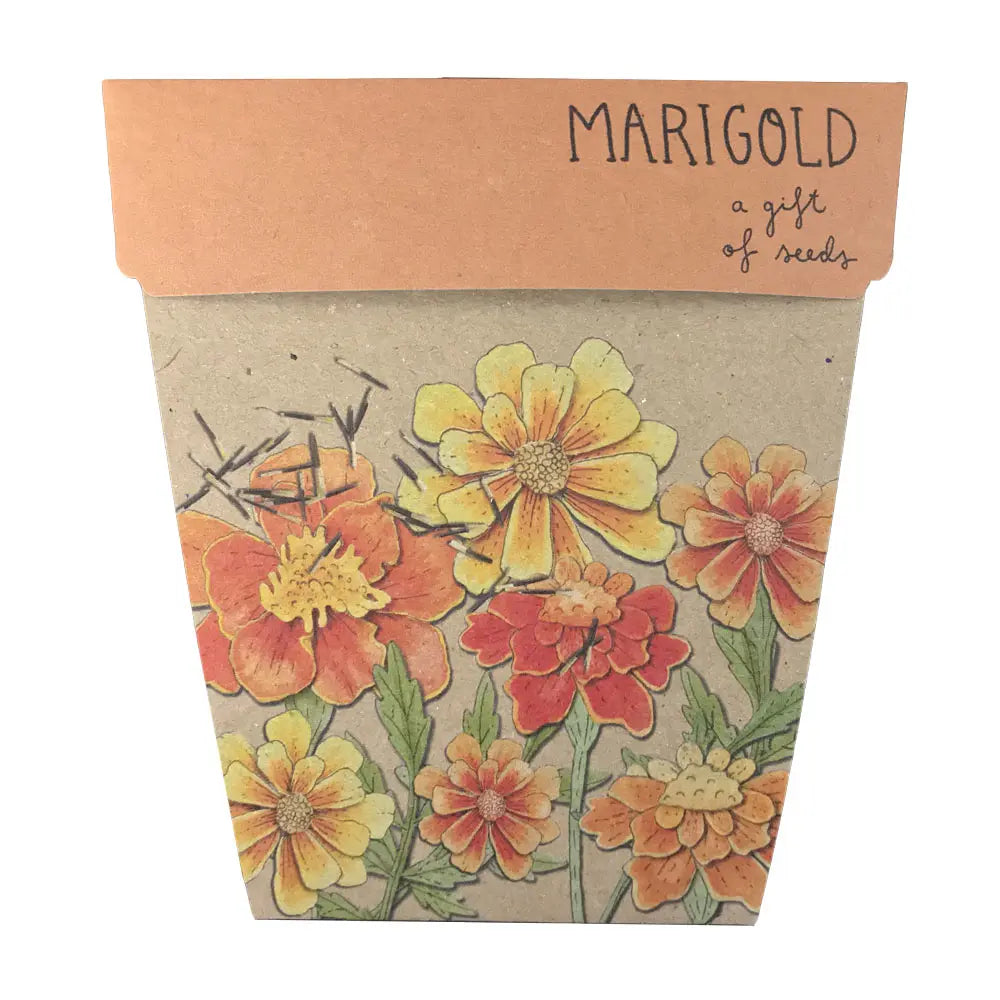 Sow 'n Sow Gift of Seeds Marigolds-The Living Co.