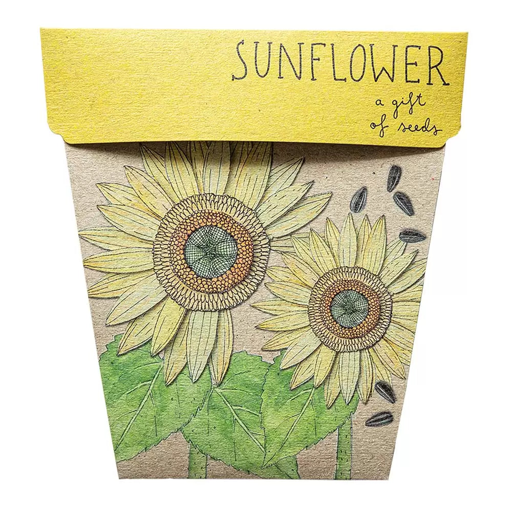 Sow 'n Sow Gift of Seeds Sunflower-The Living Co.