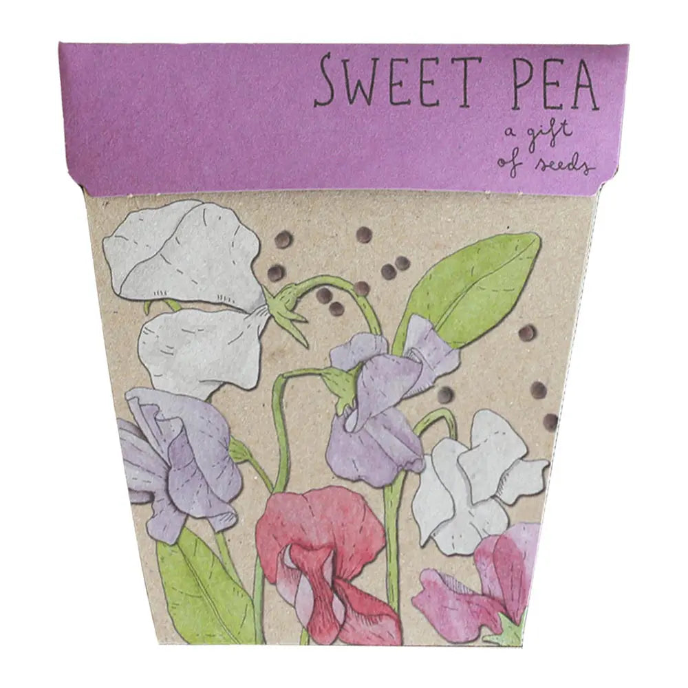 Sow 'n Sow Gift of Seeds Sweet Pea-The Living Co.