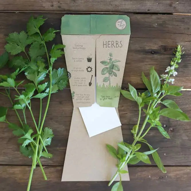 Sow 'n Sow Gift of Seeds Trio of Herbs-The Living Co.