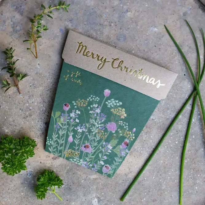 Sow 'n Sow Gift of Seeds Christmas Herbs-The Living Co.