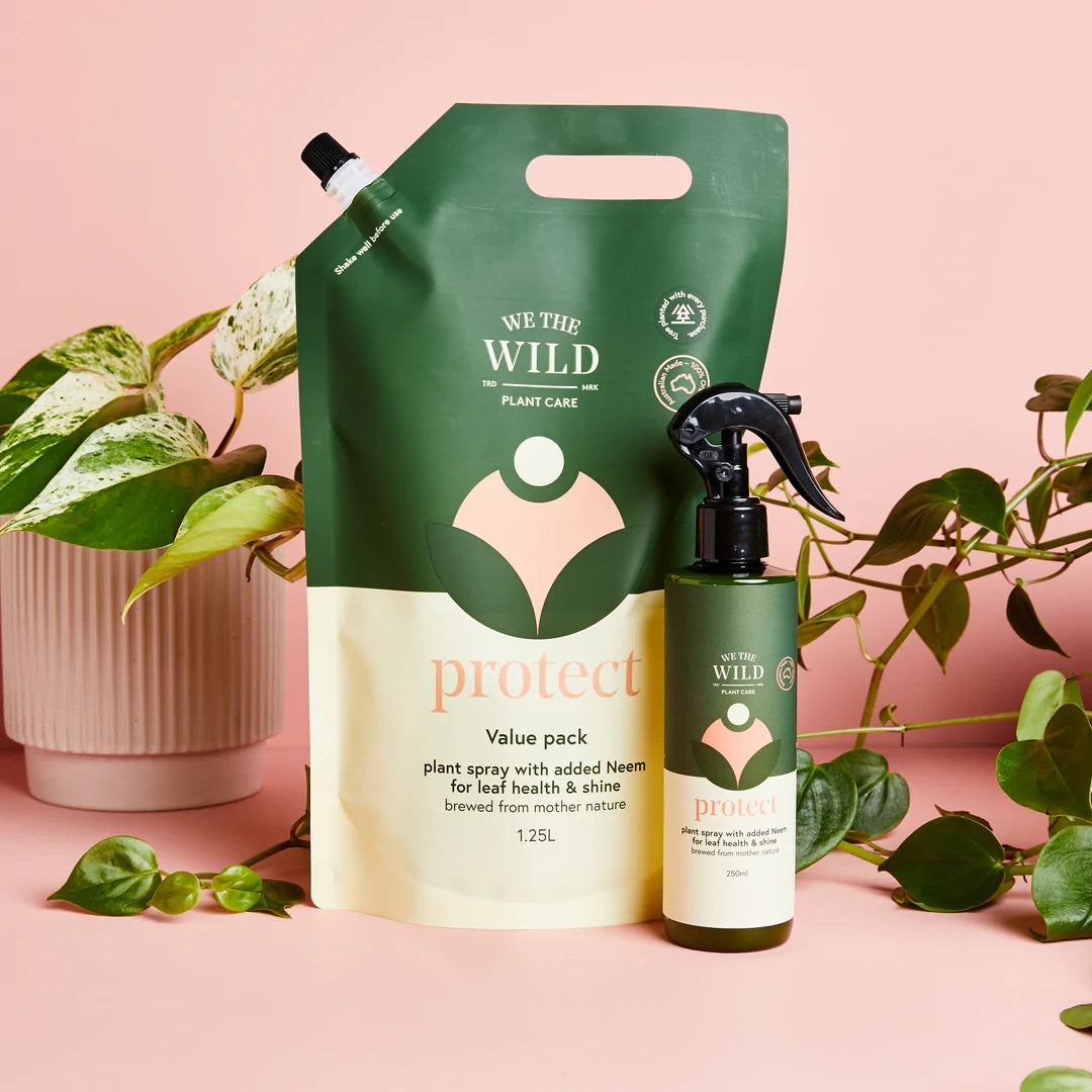 We The Wild Plant Leaf Health Kit (with Gloves)-The Living Co.